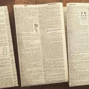 May include: A close-up of a dictionary page with the word "thistle" highlighted. The page also includes a black and white illustration of a thistle plant and a small illustration of a gardening tool.