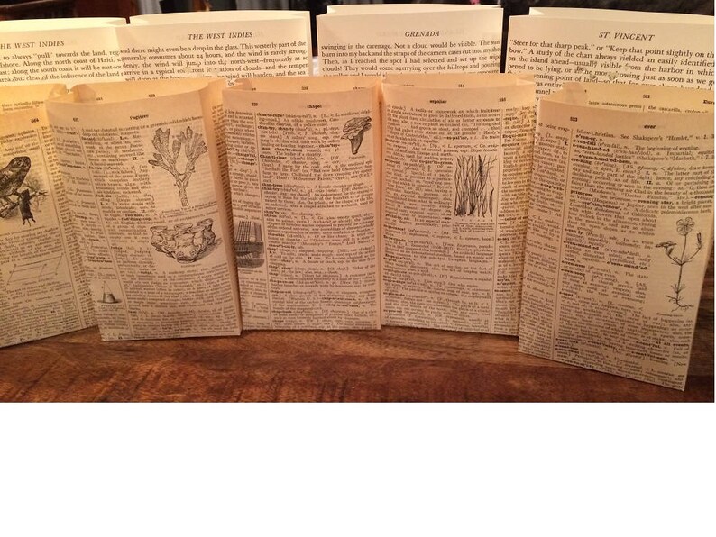 Dictionary Luminary Bags Book Club Party Book Decor Book Etsy