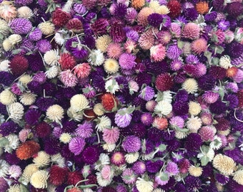 20 Pieces, Dried Flowers, Gomphrena Tops, Strawflower, Gomphrena, Flowers, Wreath Supplies