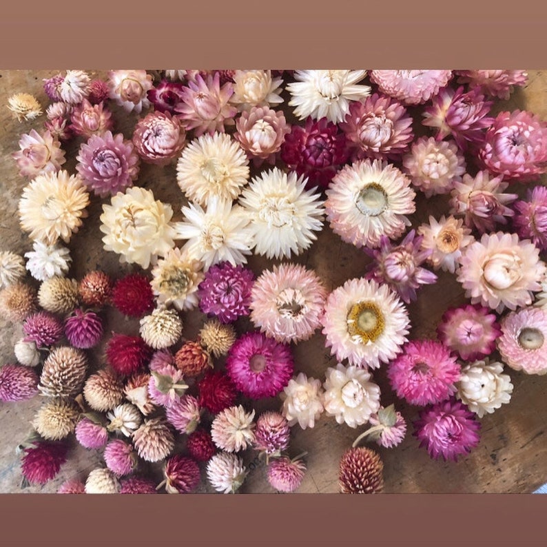 May include: A collection of dried flowers in various shades of pink, white, and purple. The flowers are arranged on a wooden surface.