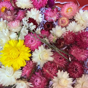 May include: A box filled with a variety of dried flowers in shades of white, pink, purple, and yellow. The flowers are arranged in a random pattern and are surrounded by shredded paper.