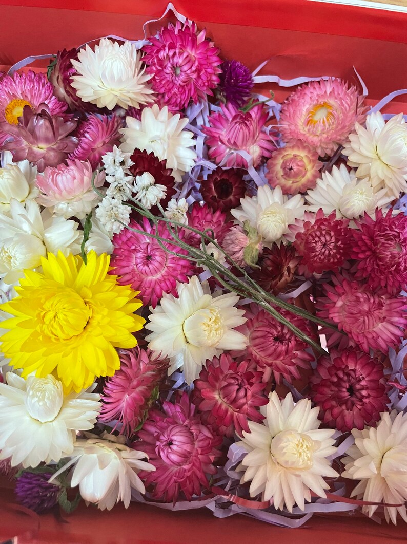 May include: A box filled with a variety of dried flowers in shades of white, pink, purple, and yellow. The flowers are arranged in a random pattern and are surrounded by shredded paper.