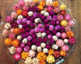 20 Pieces, Dried Flowers, Strawflower, Fall Decor, Strawflowers, Gomphrena, Flowers