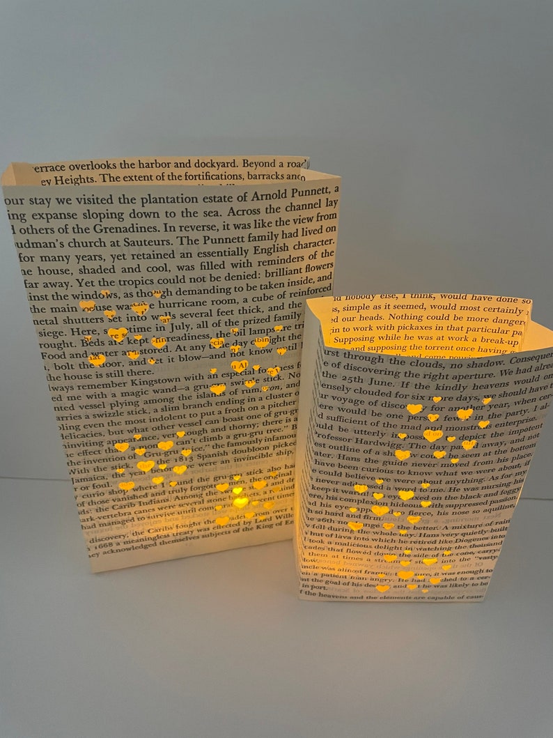 Book Luminaries, Book Wedding, Book Decor, Love, Book Themed, Library Wedding, Happily Ever After image 3