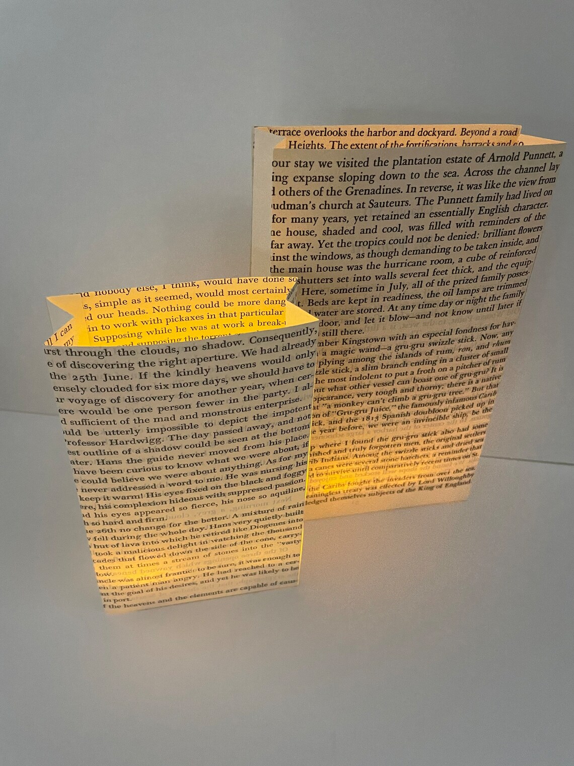 Book Luminaries, Book Wedding, Book Decor, Love, Book Themed, Library ...