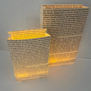 Book Luminaries, Book Wedding, Book Decor, Love, Book Themed, Library Wedding, Happily Ever After image 2