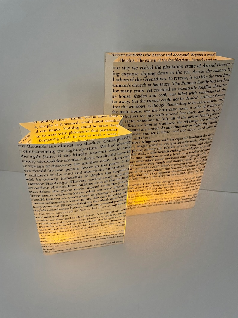 Book Luminaries, Book Wedding, Book Decor, Love, Book Themed, Library Wedding, Happily Ever After image 2