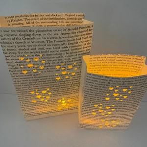 Book Luminaries, Book Wedding, Book Decor, Love, Book Themed, Library Wedding, Happily Ever After image 1