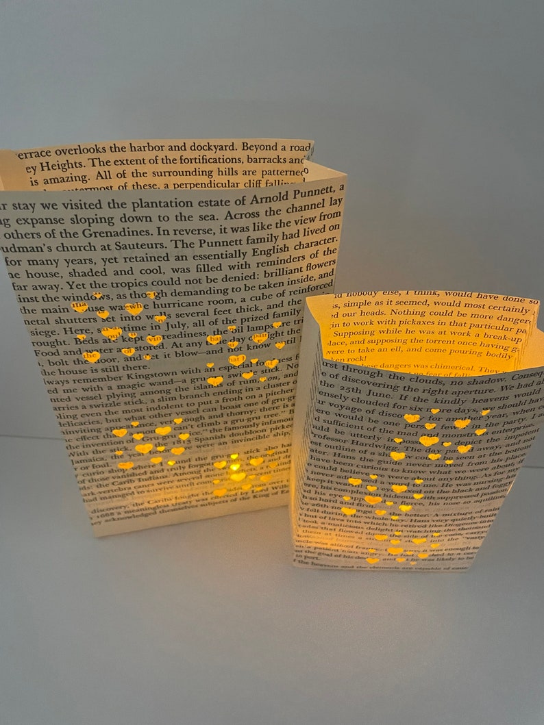 Book Luminaries, Book Wedding, Book Decor, Love, Book Themed, Library Wedding, Happily Ever After image 1