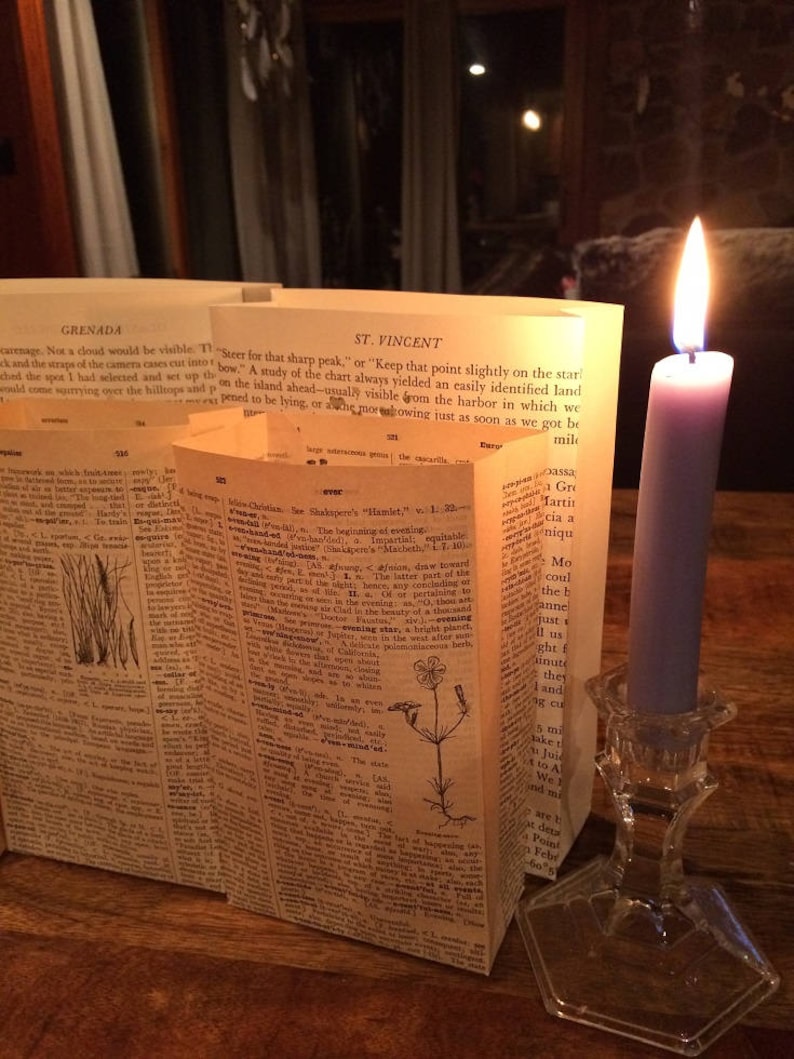 Dictionary Luminary Bags Book Club Party Book Decor Book Etsy