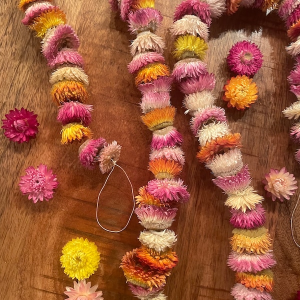 Strawflower Garland, Dried Flowers, Strawflowers, Flowers, Everlasting Flowers, Dried Flowers, Valentines Day