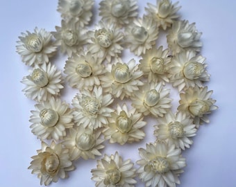 20 Pieces, White Strawflowers, Everlasting Flowers, Flowers, Wreath Supplies, Flowers, Dried Flowers, Resin Casting