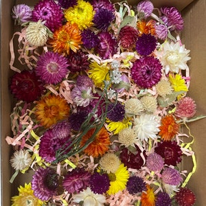 May include: A box filled with a variety of dried flowers in shades of purple, pink, yellow, orange, and white. The flowers are arranged in a random pattern and are surrounded by shredded paper.