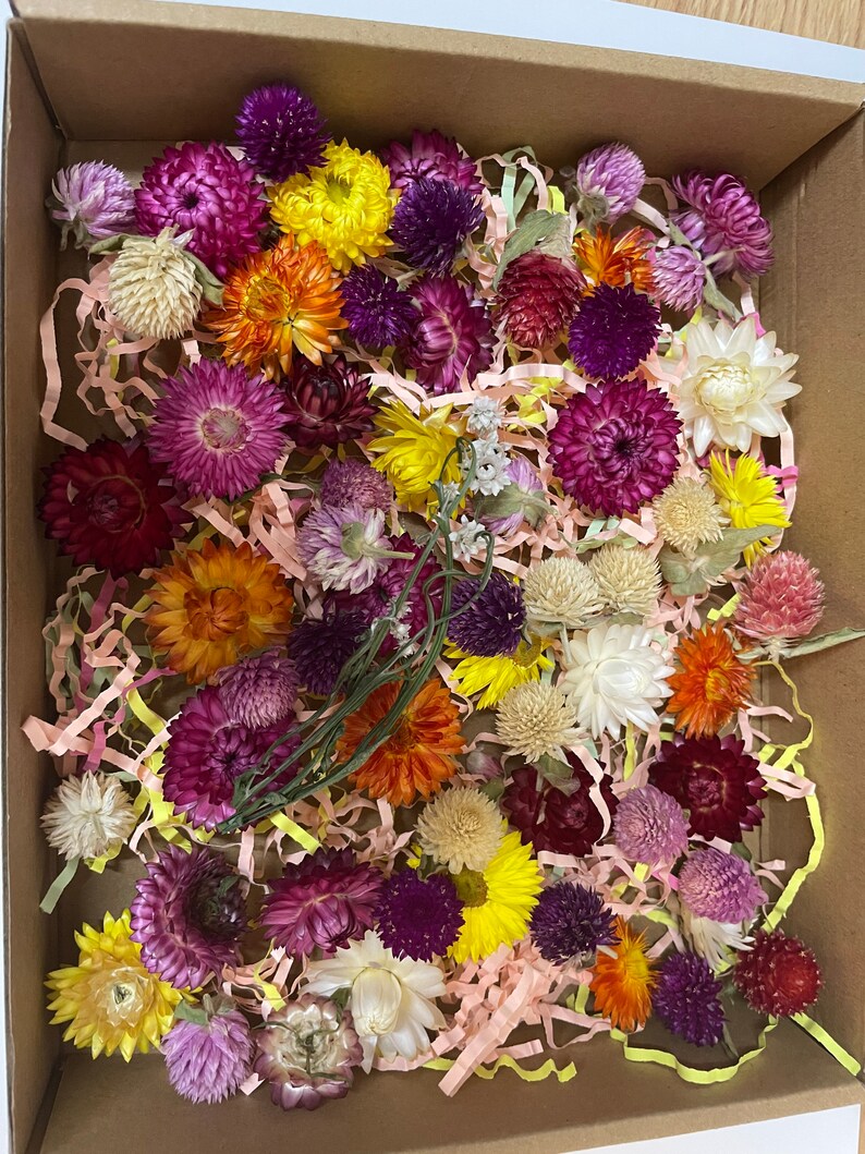 May include: A box filled with a variety of dried flowers in shades of purple, pink, yellow, orange, and white. The flowers are arranged in a random pattern and are surrounded by shredded paper.