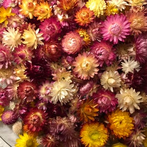 May include: A bowl filled with dried flowers in various shades of pink, yellow, orange, and white. The flowers have a delicate, papery texture.