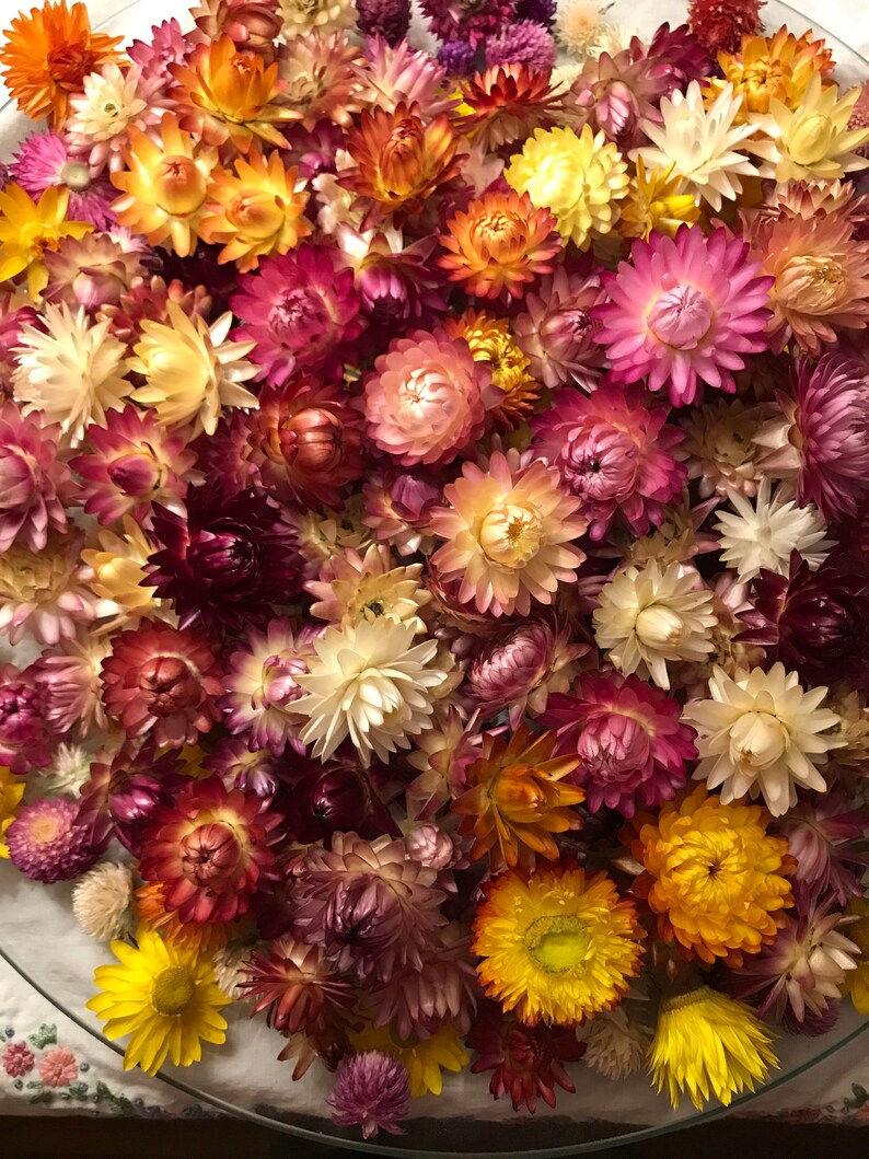 May include: A bowl filled with dried flowers in various shades of pink, yellow, orange, and white. The flowers have a delicate, papery texture.