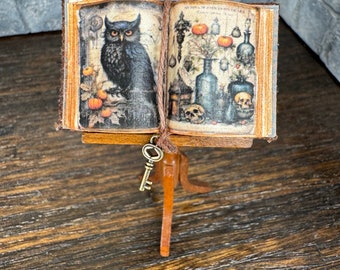 Potions and Owl Spell Book - Open Book - Dollhouse Miniatures