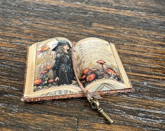 Witch w Mushrooms Open Book - Dollhouse Miniatures