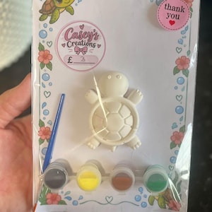 May include: A craft kit in clear packaging featuring a white turtle-shaped plaster figure, a small blue paintbrush, and four small pots of paint in grey, yellow, brown, and green. The backing card displays the text Casey's Creations and thank you.