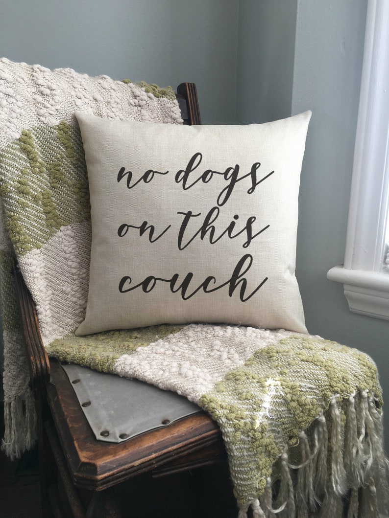 Pillow / Couch Pillow / No Dogs On This Couch / Funny Pillow Etsy