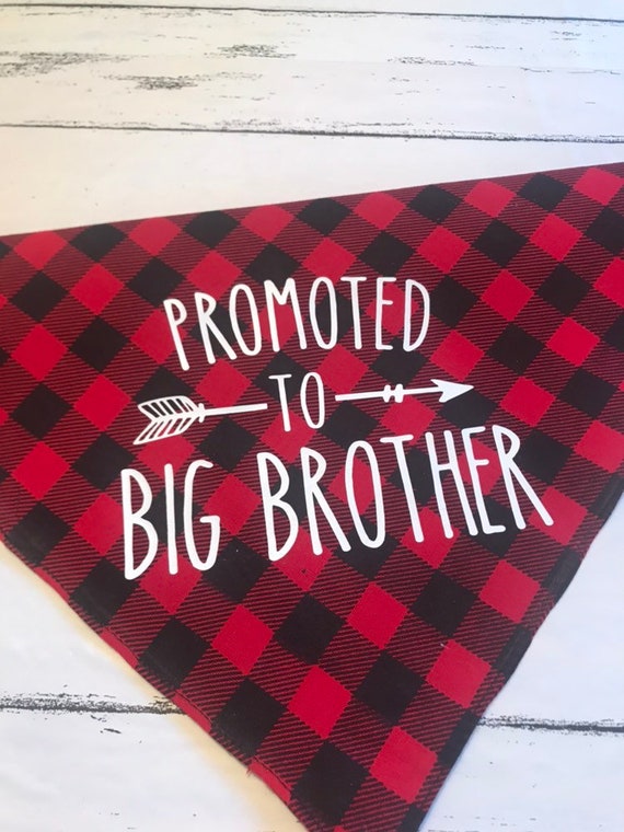 promoted to big brother dog bandana