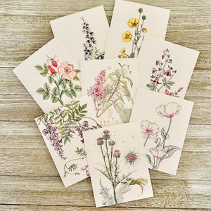 Botanical Note Cards/Wild flower Note Cards/Botanical printed cards/Wild Flower Stationary Set/Flower Note cards/ Blank Cards