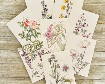 Botanical Note Cards/Wild flower Note Cards/Botanical printed cards/Wild Flower Stationary Set/Flower Note cards/ Blank Cards