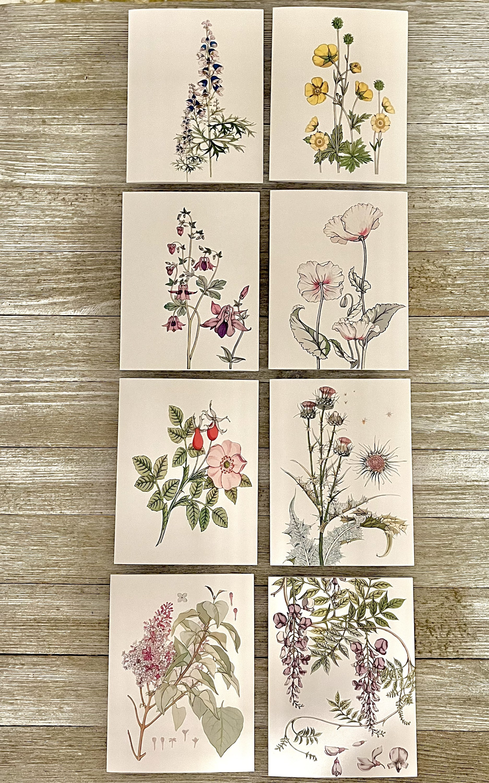 Botanical Wildflower Note Card Set: Watercolor Floral Cards - Etsy