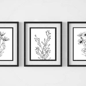 Black line botanical Wall Art/Botanical wall art/Black and White printable wall art/Digital prints/Fine art prints/digital download/wall art