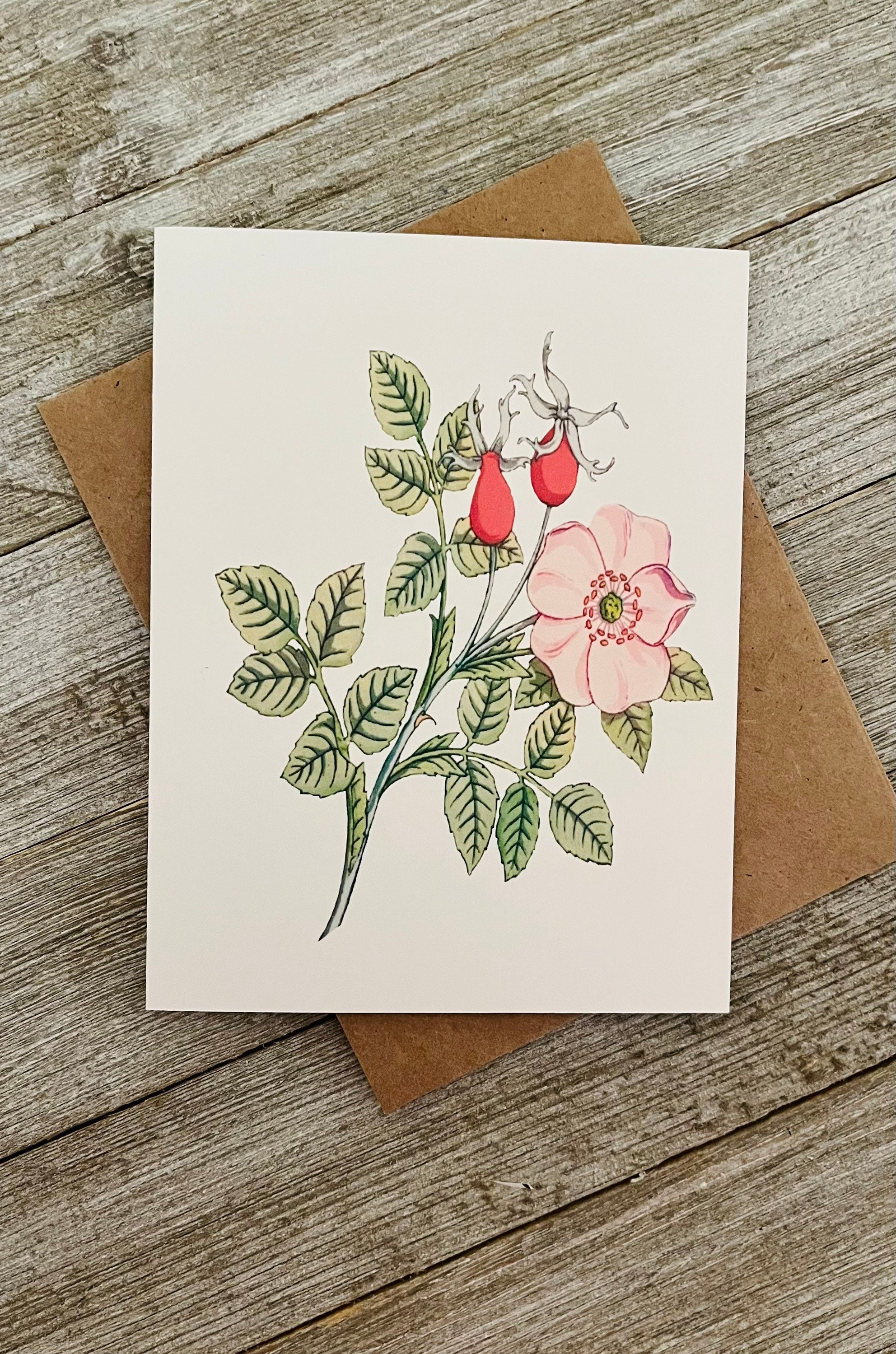 Botanical Wildflower Note Card Set: Watercolor Floral Cards - Etsy