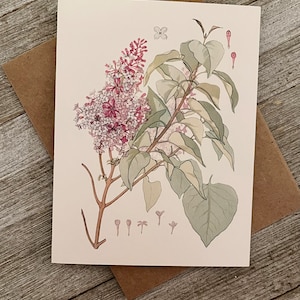 Botanical Wildflower Note Card Set: Watercolor Floral Cards - Etsy