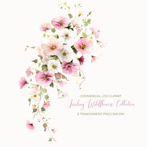 Può includere: Illustrazione ad acquerello di una composizione floreale con fiori selvatici rosa, bianchi e rosa chiaro e foglie verdi. Il testo "COMMERCIAL USE CLIPART" e "Trailing Wildflowers Collection" è visibile.