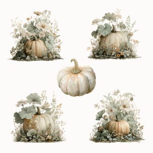 May include: A collection of watercolor illustrations featuring pumpkins and floral arrangements. The pumpkins are in shades of cream and tan, surrounded by green foliage and delicate flowers. The overall aesthetic is soft and autumnal.