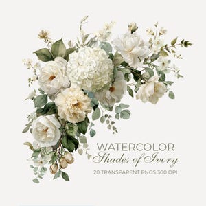 Pode incluir: Ilustração em aquarela de um arranjo floral em tons de marfim. O buquê apresenta rosas brancas, hortênsias e folhagem verde. O texto diz "Watercolor Shades of Ivory" e "20 Transparent PNGs 300 DPI".