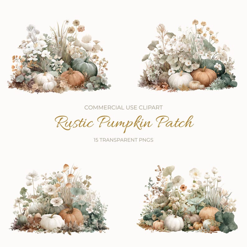May include: Watercolor illustration of a rustic pumpkin patch with various pumpkins in shades of orange, white, and green, surrounded by flowers and foliage. The text "Rustic Pumpkin Patch" is displayed.