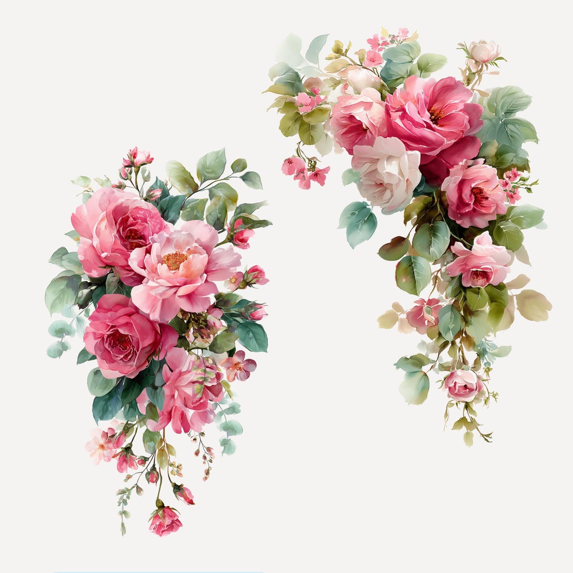 Trailing Roses Drawings Watercolor Hot Pink Roses Floral Clipart Pack | 10 Trailing Flower ...