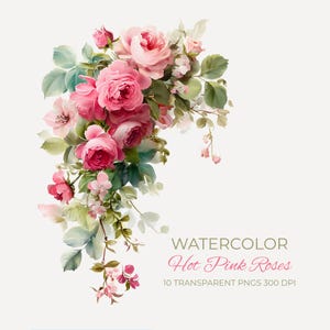 Peut inclure: Illustration à l'aquarelle de roses rose vif avec des feuilles vertes et de petites fleurs roses. L'image comprend le texte "WATERCOLOR Hot Pink Roses 10 Transparent PNGs 300 DPI".
