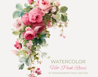 Watercolor Hot Pink Roses Floral Clipart Pack | 10 Trailing Flower Arrangements Pngs | Pink Botanical Wedding Baby Shower Papercraft Flowers
