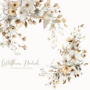 Könnte beinhalten: Aquarell-Blumen-Clipart mit Arrangements aus weißen und cremefarbenen Blumen mit braun-beigem und grünem Laub. Der Text "Wildflower Neutrals" und "COMMERCIAL USE CLIPART" ist kursiv geschrieben.