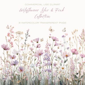 Akvarell vildblommor och fjärilar Clipart-paket, lila och rosa samling, 6 blommiga kantarrangemang transparenta PNG-filer, stugblommor
