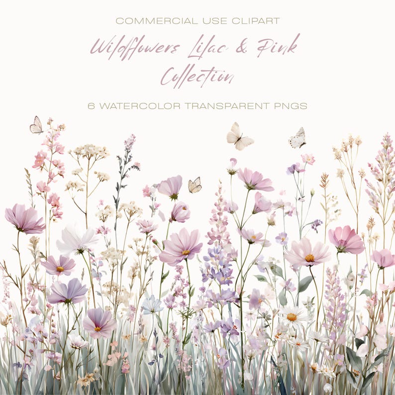 May include: A watercolour illustration of a wildflower collection in lilac and pink hues. The image showcases diverse flower species, butterflies, and the text "Wildflowers Lilac & Pink Collection". It is described as "Commercial Use Clipart".