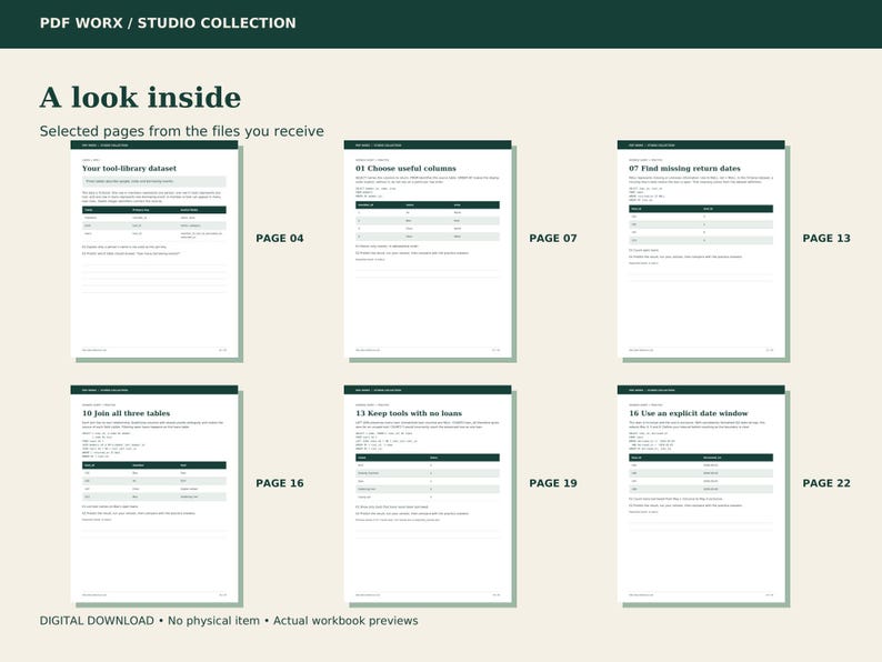 Six actual pages from SQL Data Detective Lab, showing its learning activities and printable layouts.