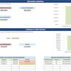 May include: A financial dashboard displaying a general summary and date-based query section. It includes bar charts, tables for pending collections and payments, and specific data entries with dates, invoice numbers, client or provider names, and amounts in euros.