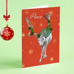 Christmas Holiday card with Winter White Elk with Sweater Holly and Gold Stars