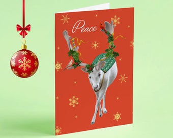 Christmas Holiday card with Winter White Elk with Sweater Holly and Gold Stars