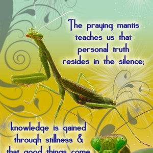 PRAYING MANTIS: Unique Blank Greeting Card