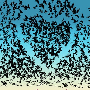 Troupeau de carte d’anniversaire Unique oiseaux coeur
