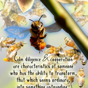 BEE : Unique carte de souhaits