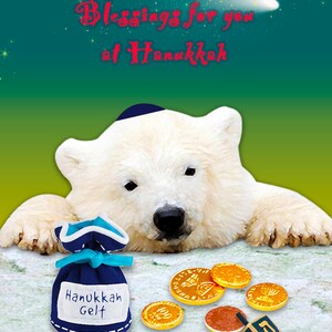 Carte de vacances de Hanukkah d'ours polaire de chéri