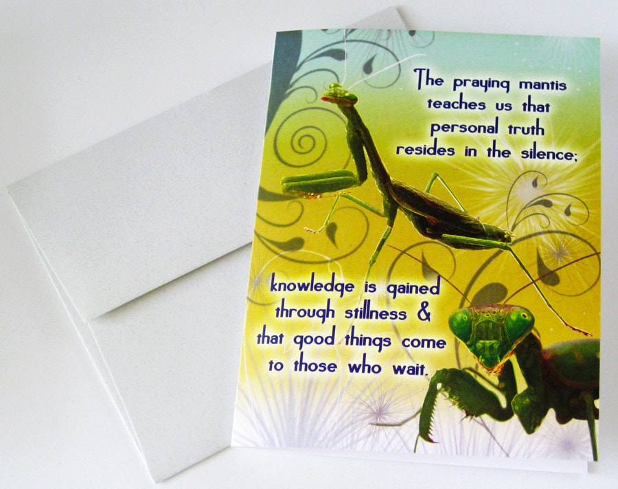 PRAYING MANTIS: Unique Blank Greeting Card - Etsy